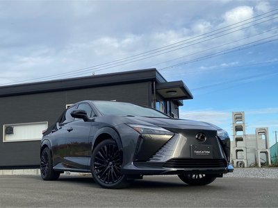 LEXUS RZ
