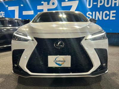 LEXUS NX - 4