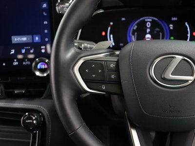2023 Lexus NX 缩略图 15