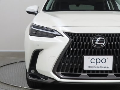 LEXUS NX - 8