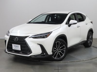 LEXUS NX - 1