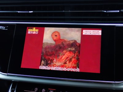صورة مصغرة 66 لـ 2019 AUDI Q8