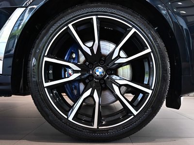 2021 BMW X7 照片 6