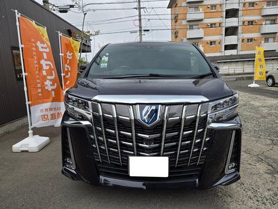 TOYOTA ALPHARD - 3