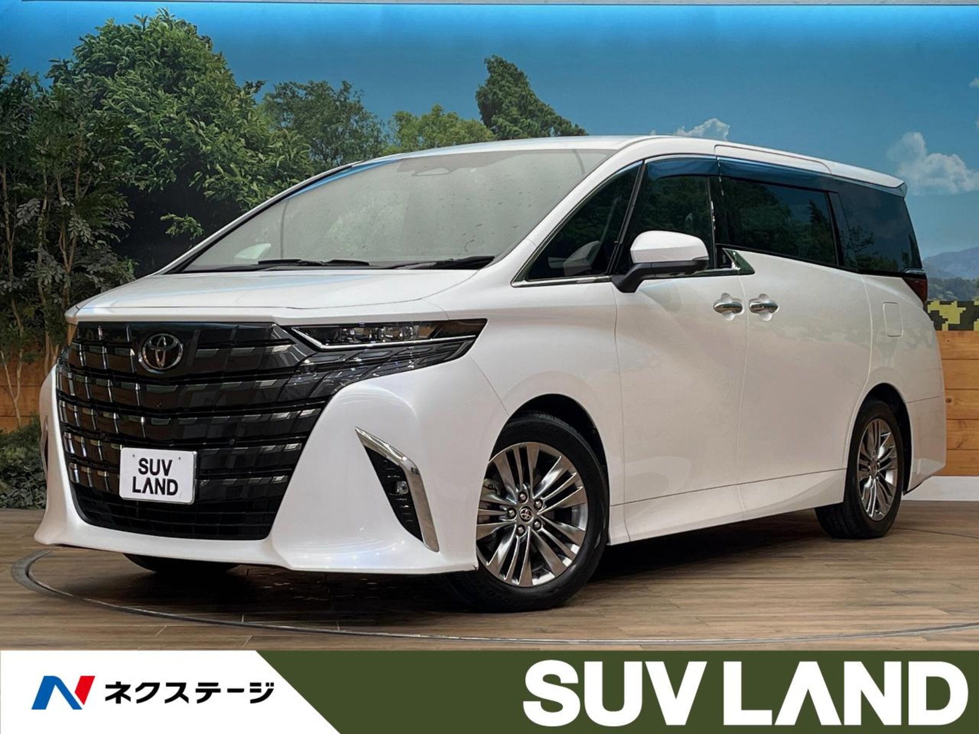 TOYOTA ALPHARD - View 1