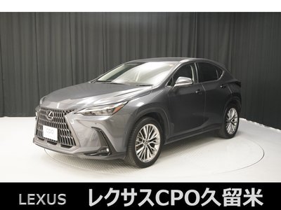 LEXUS NX - 1