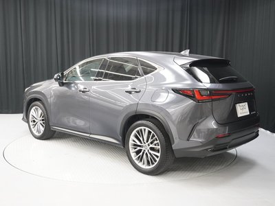 LEXUS NX - 4