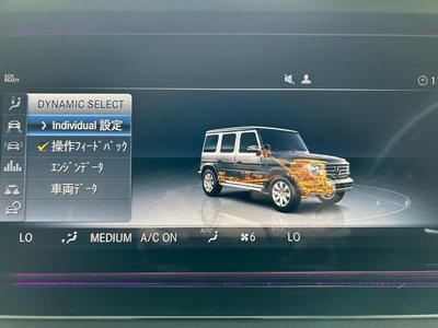 2021 Mercedes-BENZ G-CLASS — миниатюра 32