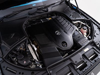 2021 Mercedes-BENZ S-CLASS 缩略图 42