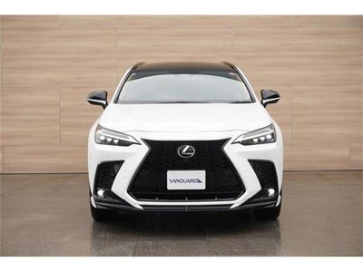 LEXUS NX - 9