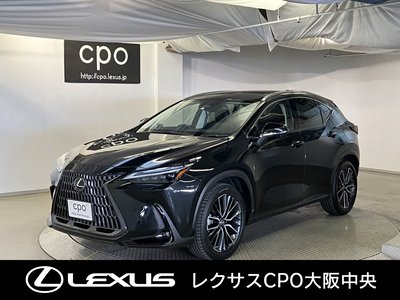 2023 Lexus NX — фото 1