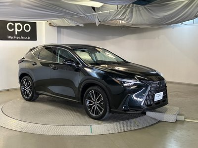 2023 Lexus NX — фото 10
