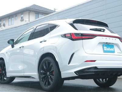 2022 Lexus NX 缩略图 30
