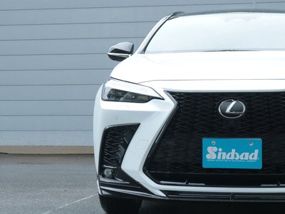 2022 Lexus NX 缩略图 28