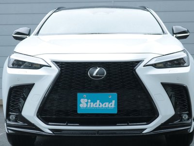 2022 Lexus NX 缩略图 27