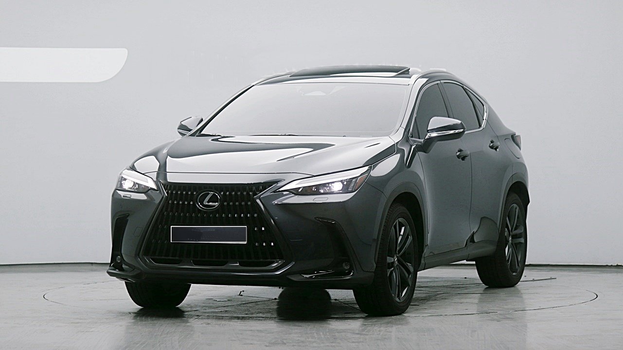 LEXUS NX - View 1
