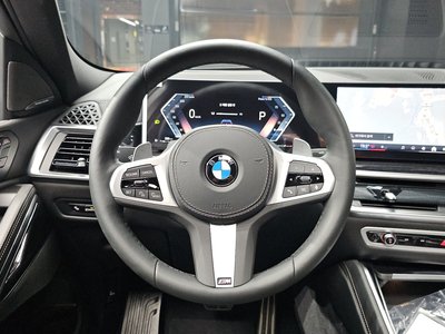2025 BMW X6 — миниатюра 19