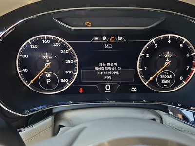 BENTLEY CONTINENTAL - 8