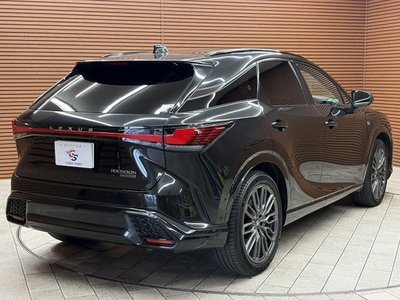 صورة مصغرة 32 لـ 2023 Lexus RX