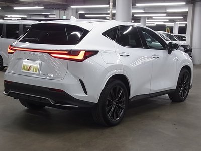 LEXUS NX - 6