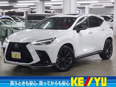 LEXUS NX - 1