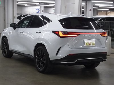 2022 Lexus NX 缩略图 11