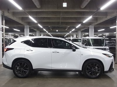 2022 Lexus NX 缩略图 12