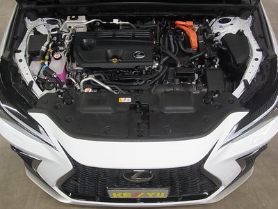2022 Lexus NX 缩略图 54