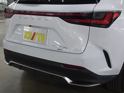 2022 Lexus NX 缩略图 52