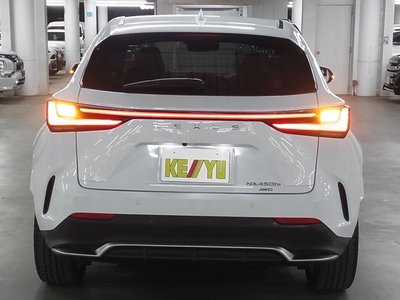 LEXUS NX - 10