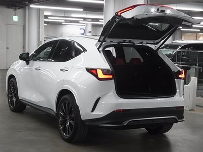 2022 Lexus NX 缩略图 21