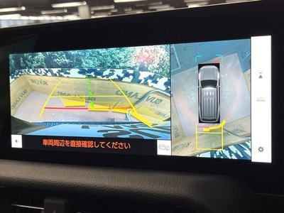 TOYOTA LAND CRUISER 250 - 6