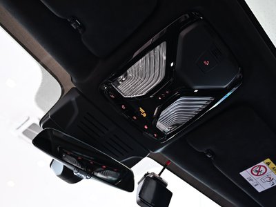 2025 BMW X7 缩略图 20