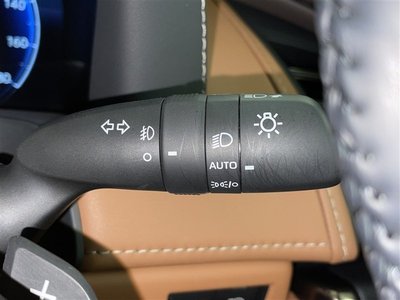 2024 Toyota VELLFIRE 缩略图 19