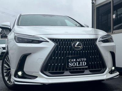 LEXUS NX - 6