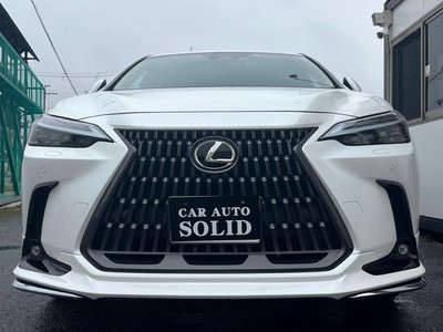 LEXUS NX - 4