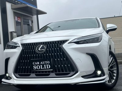 LEXUS NX - 2