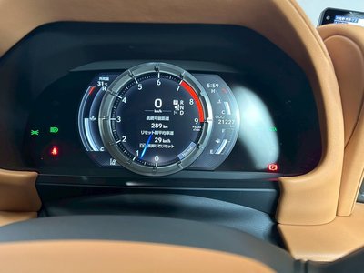 2021 Lexus LC 缩略图 32