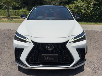 2024 Lexus NX — миниатюра 22