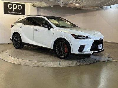 2023 Lexus RX photo 10