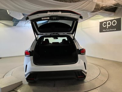 2023 Lexus RX 缩略图 24