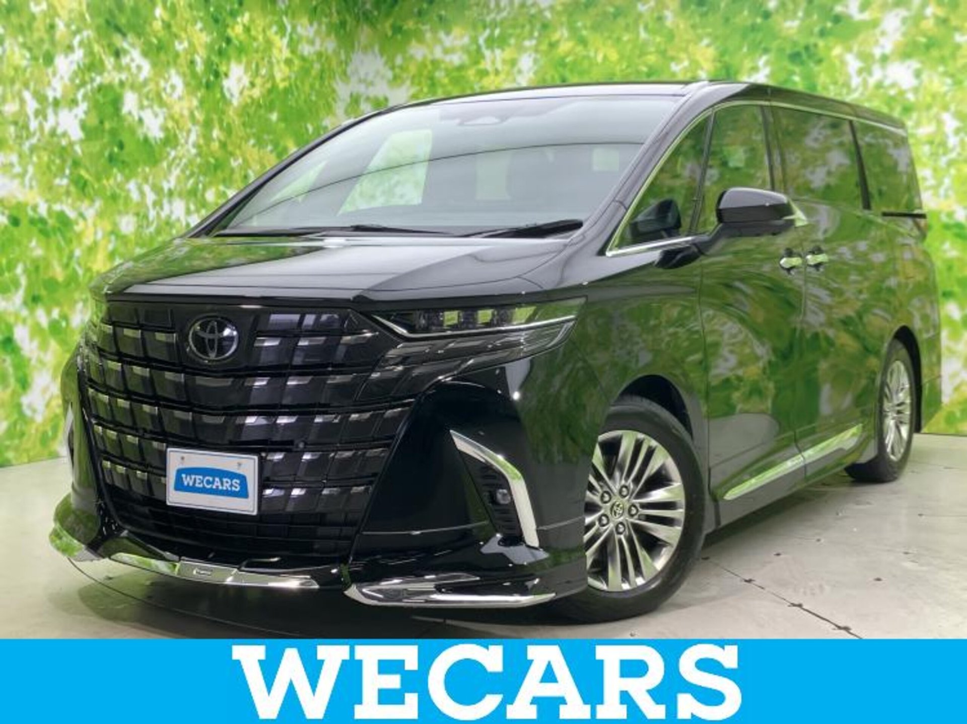 TOYOTA ALPHARD - View 1