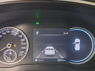 2020 Genesis GV80 photo 8