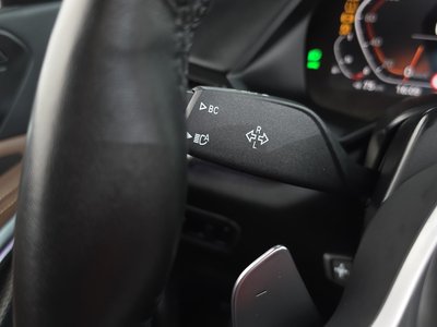 صورة مصغرة 28 لـ 2022 BMW X6