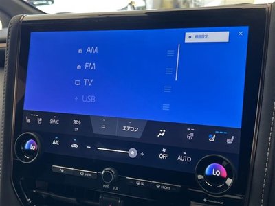 2024 Toyota ALPHARD 缩略图 14