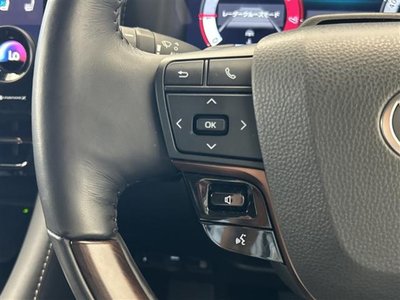2024 Toyota ALPHARD 缩略图 28