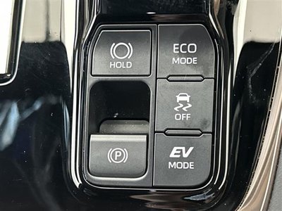 2024 Toyota ALPHARD 缩略图 33