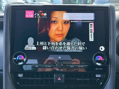 2024 Toyota ALPHARD 缩略图 55