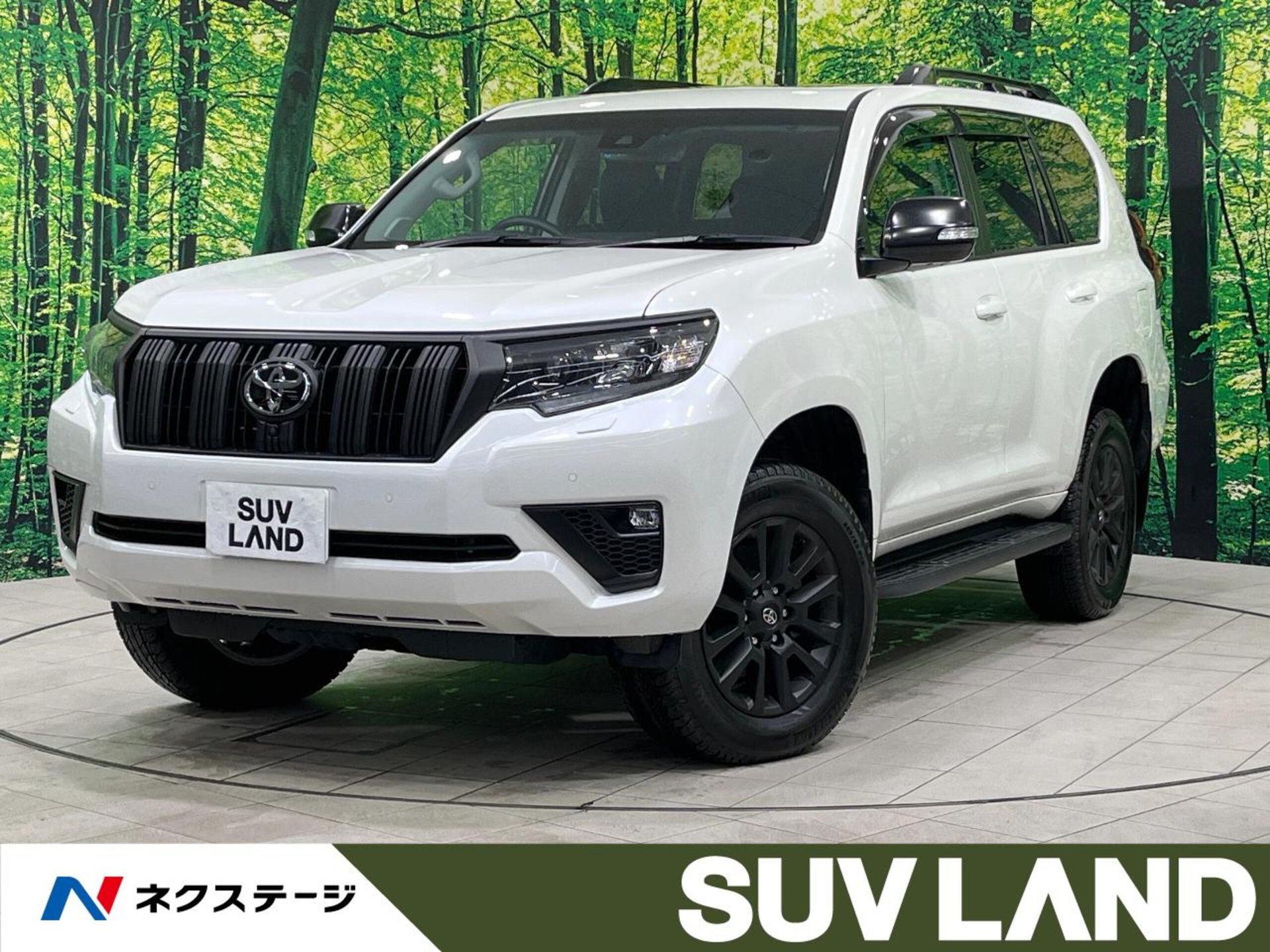 TOYOTA LAND CRUISER PRADO - View 1