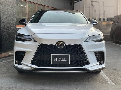 LEXUS RX - 2